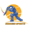 Shaheen Sports