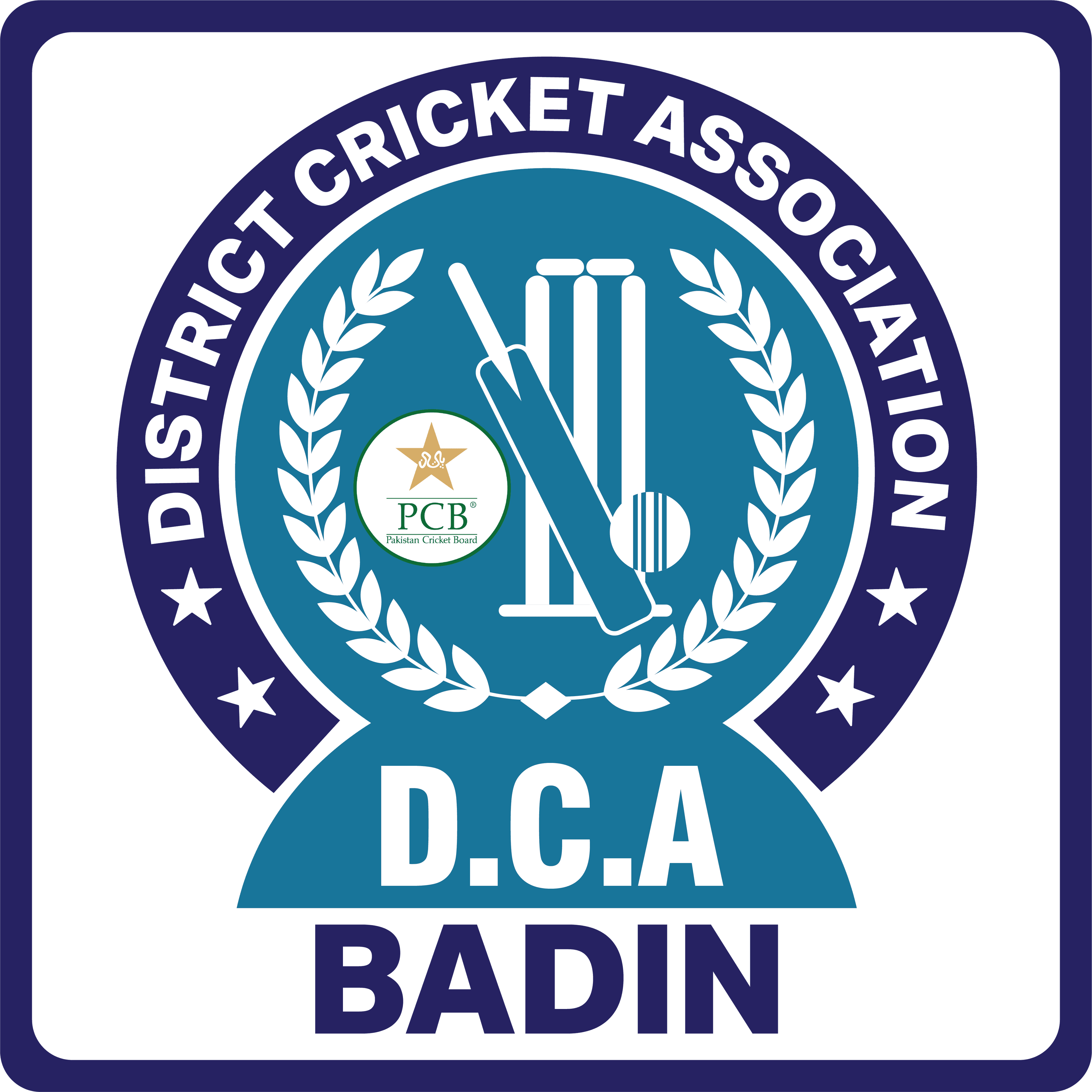 Badin team logo