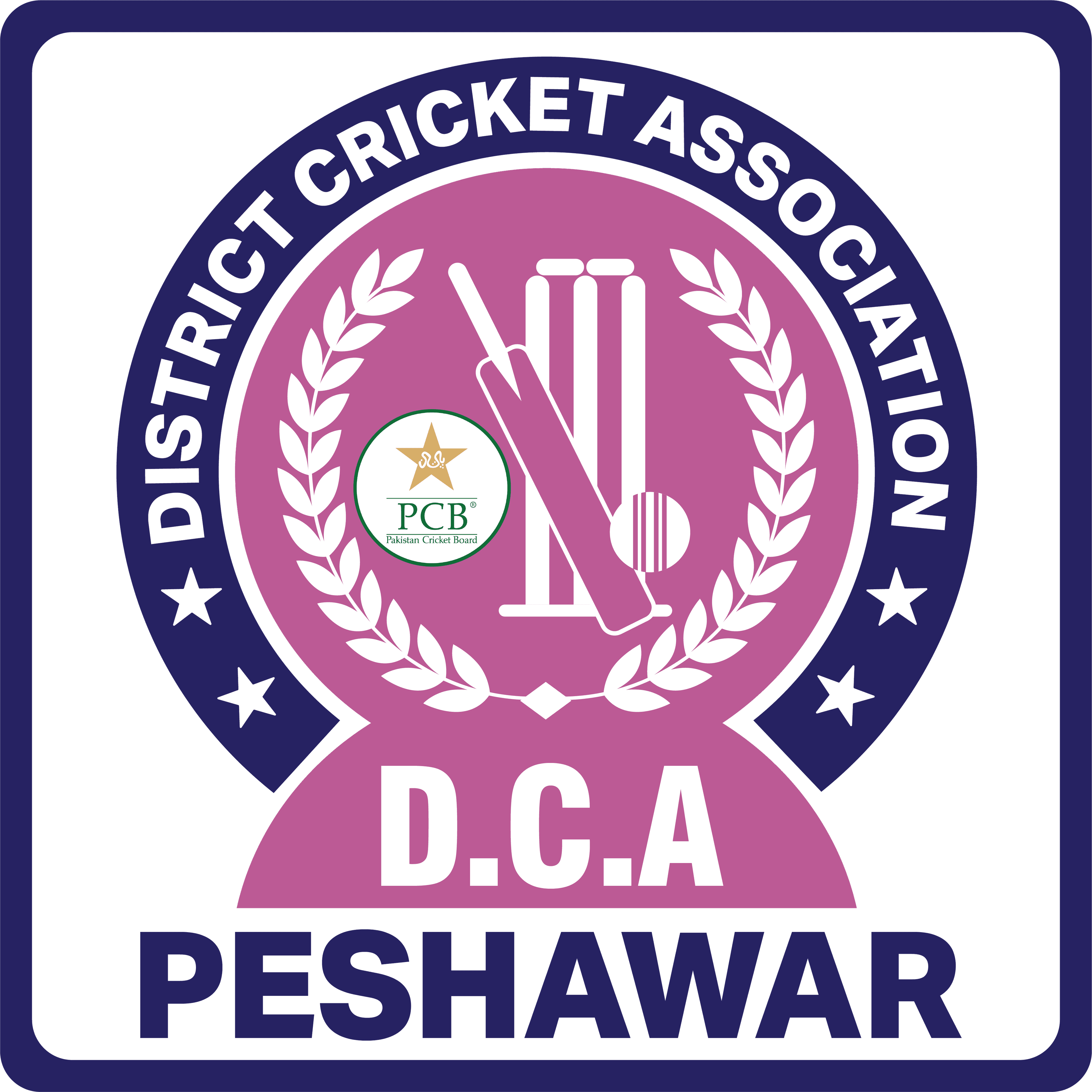 Peshawar team logo