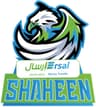 Ersal Shaheen