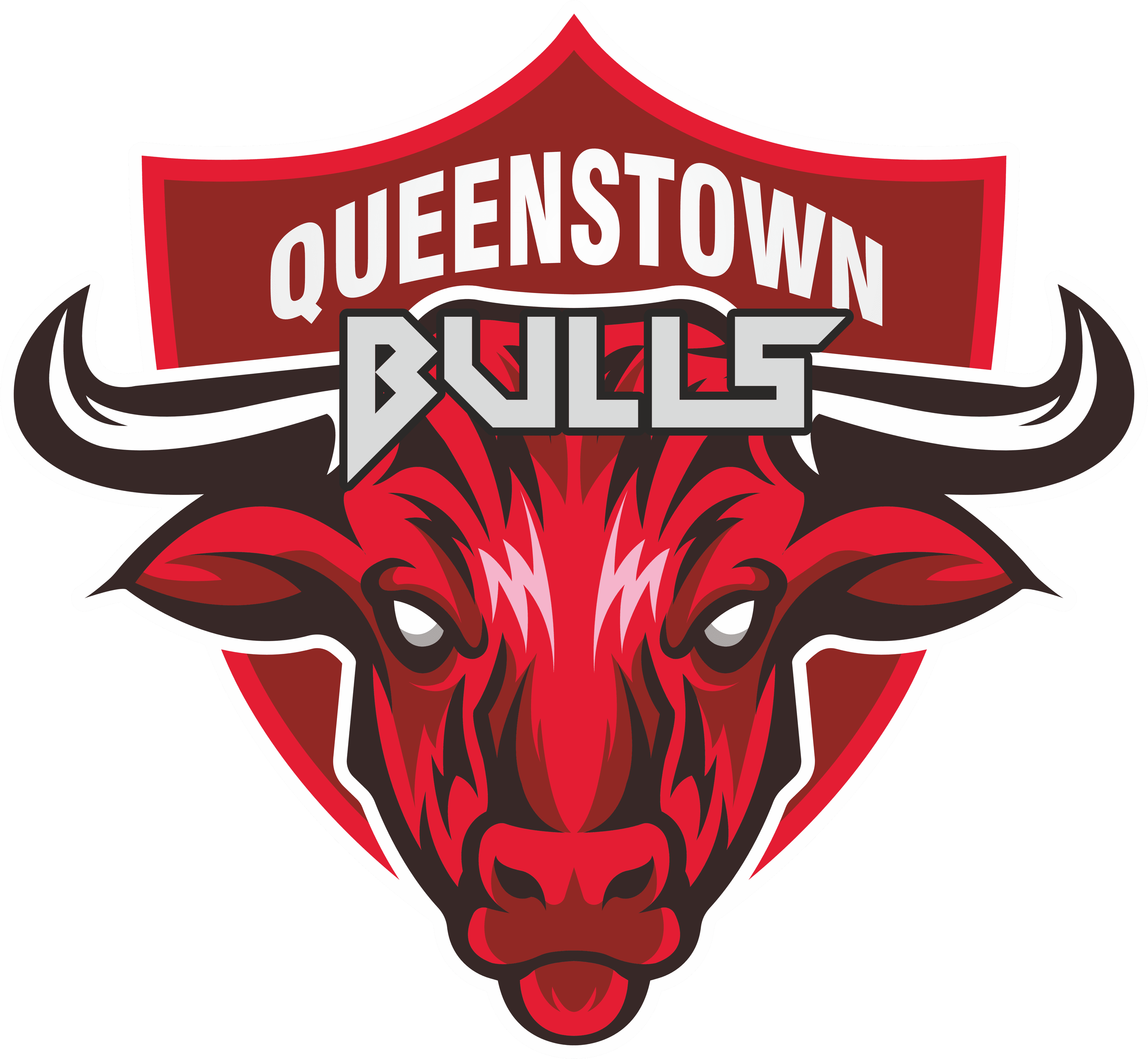 QUEENSTOWN BULLS team logo