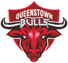 QUEENSTOWN BULLS
