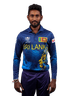 Dushan Hemantha