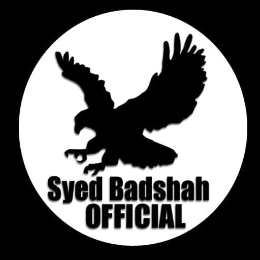 Syed Badshah team logo