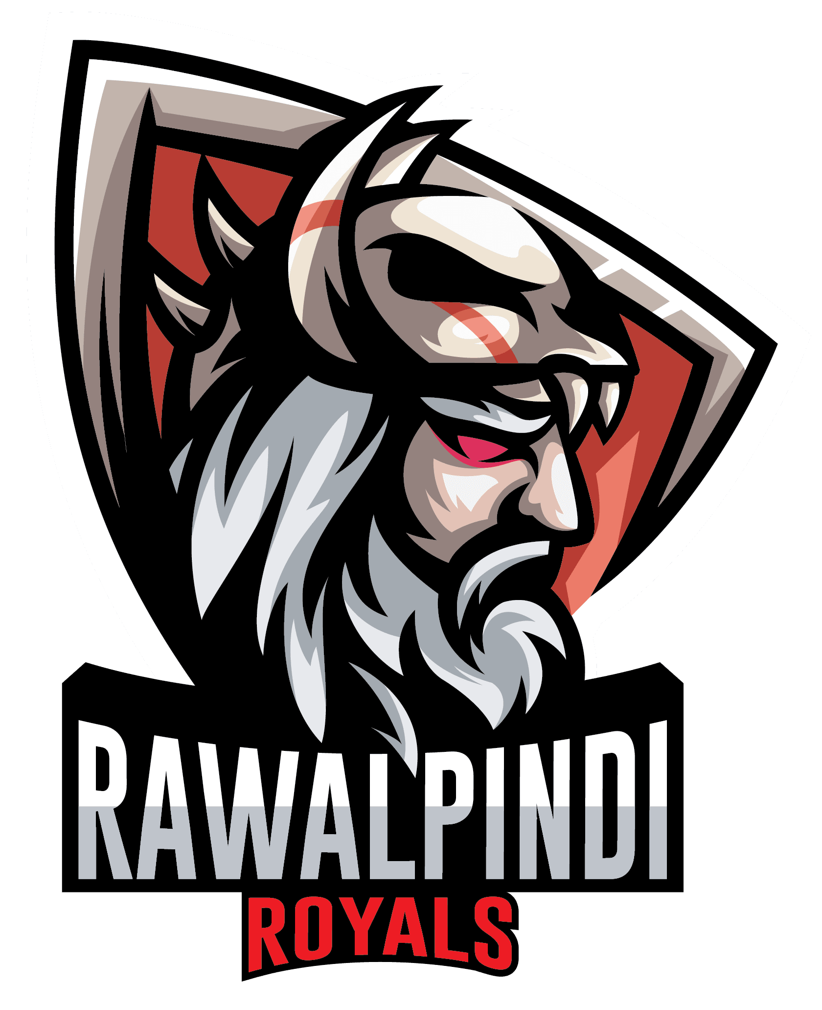 Rawalpindi Royals