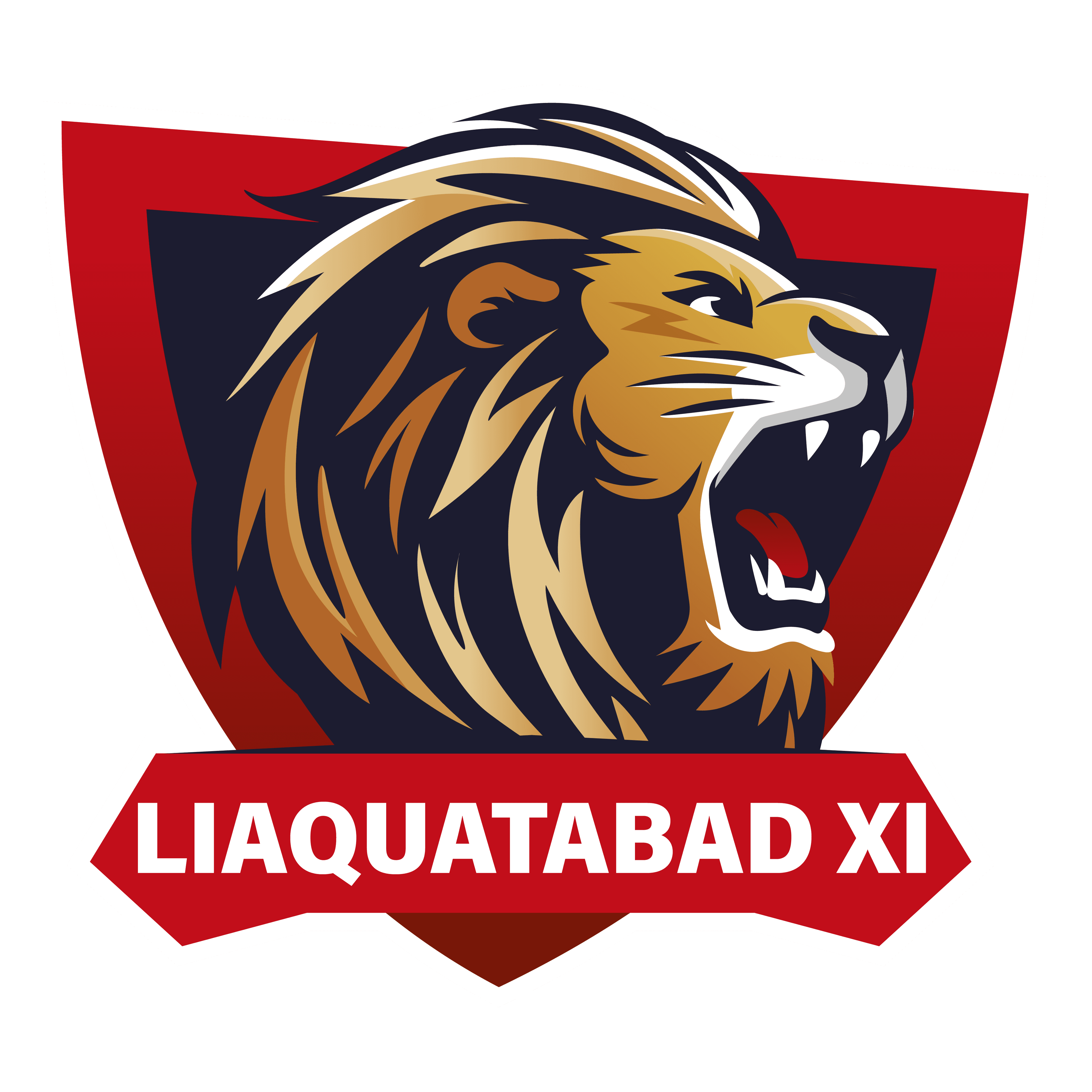 Liaquatabad Xl team logo