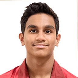 Sai Sarthak Vaddiraju