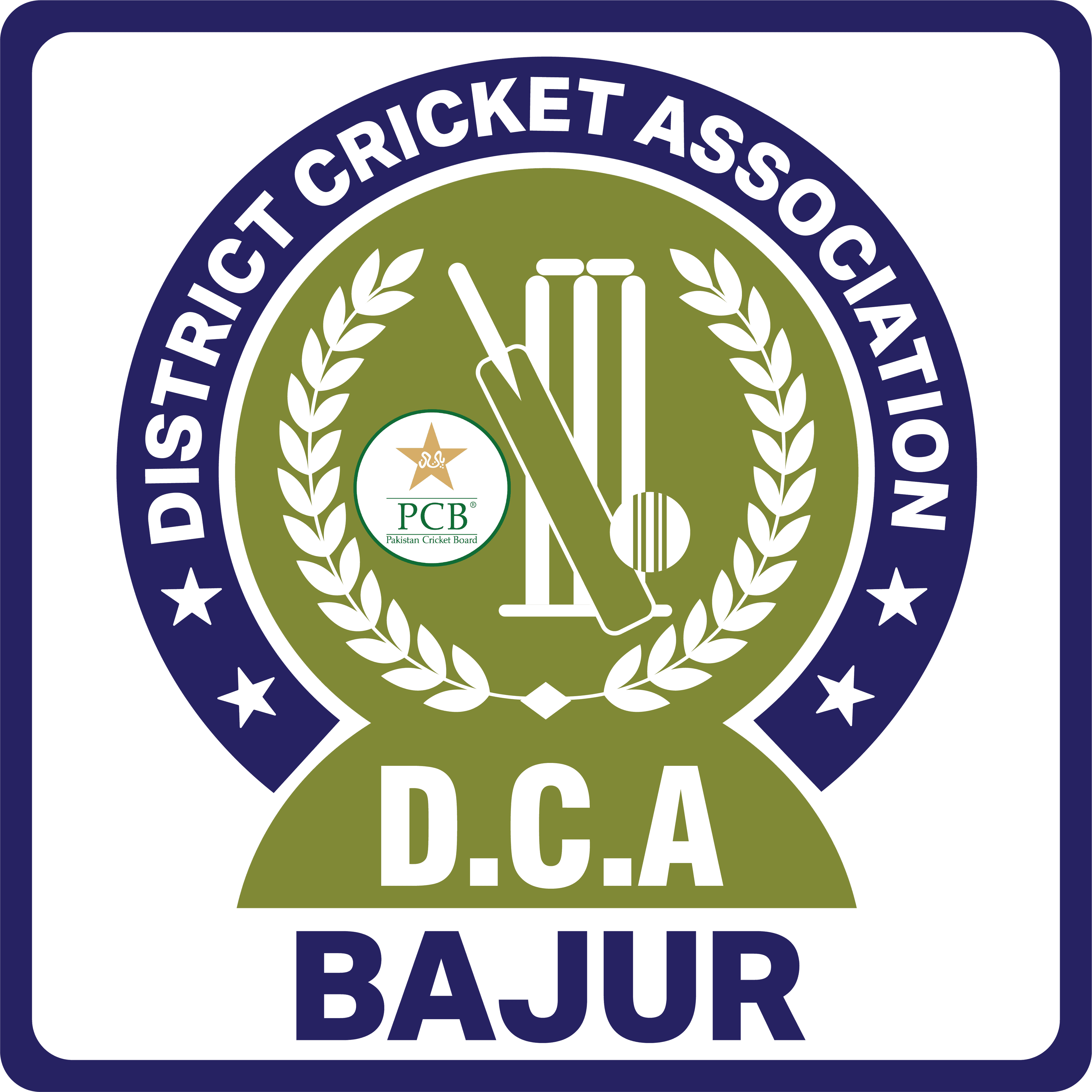 Bajur team logo