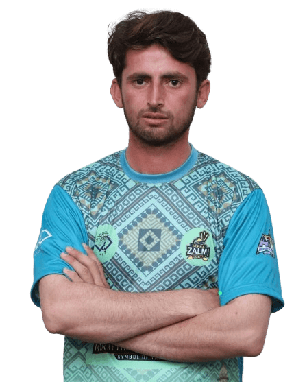 amir cricket player photo