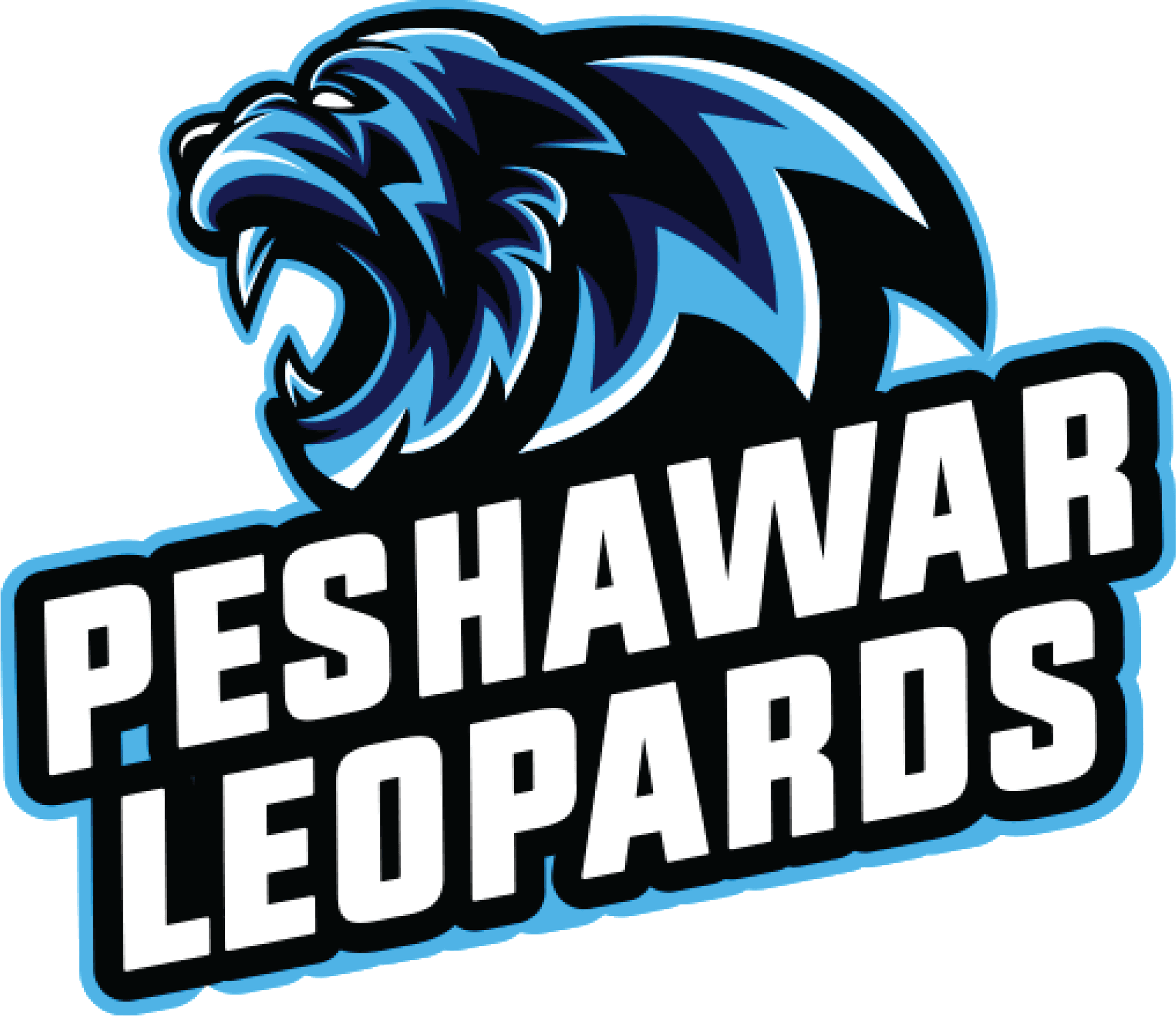 Peshawar Leopards