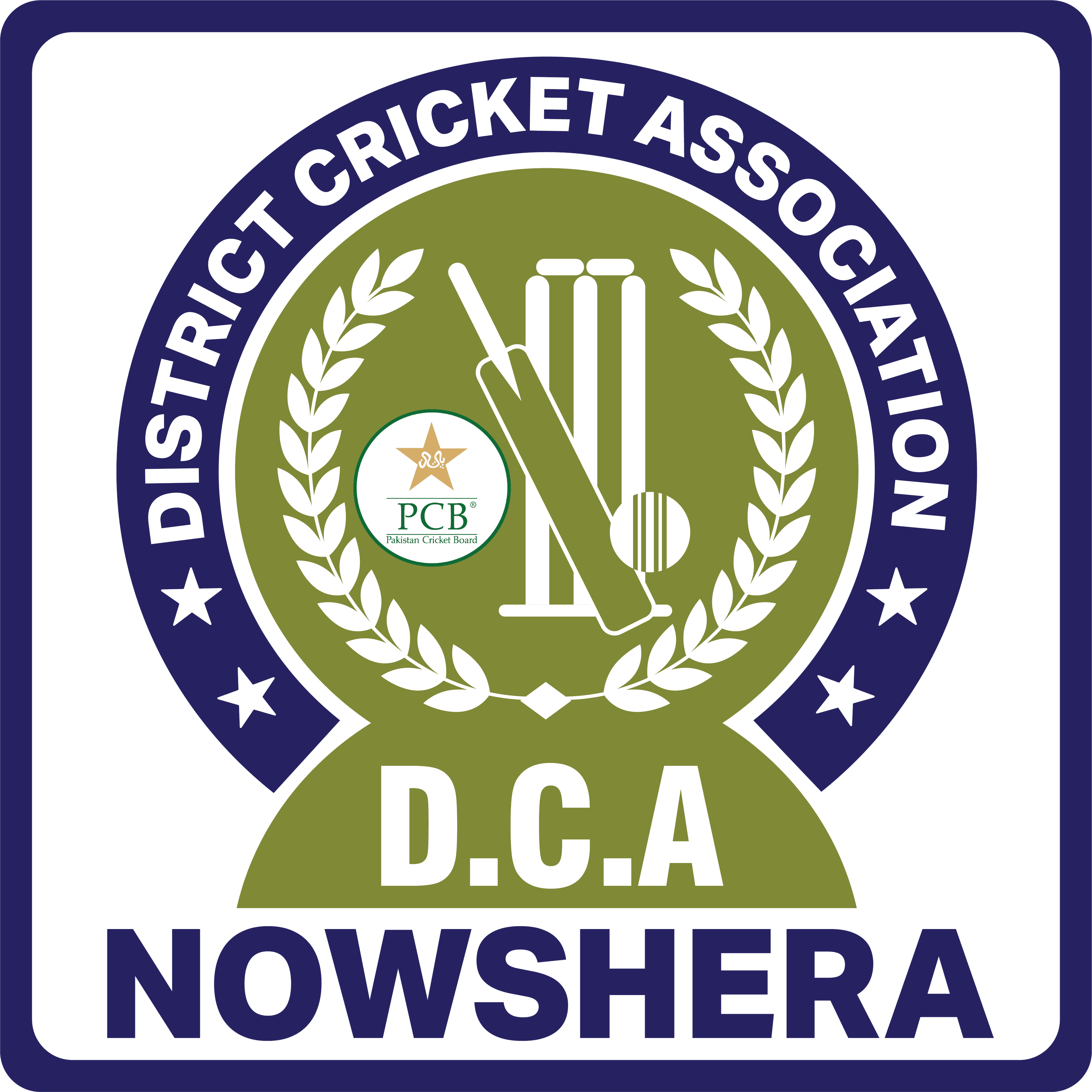 Nowshera team logo