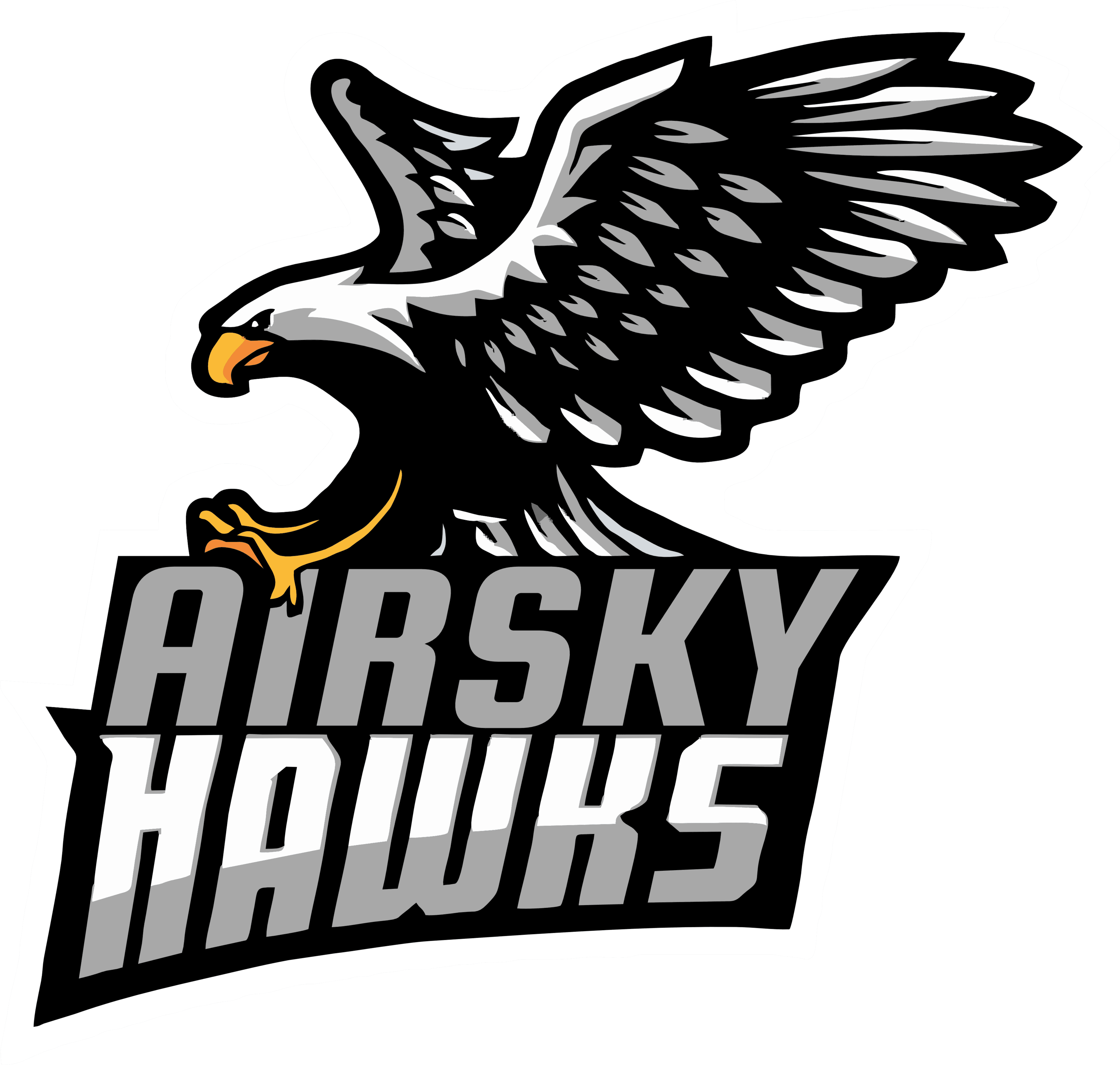 AIRSKY HAWKS team logo