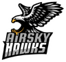 AIRSKY HAWKS