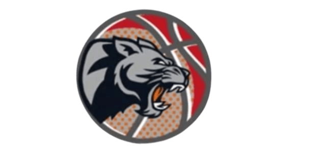 Panthers team logo