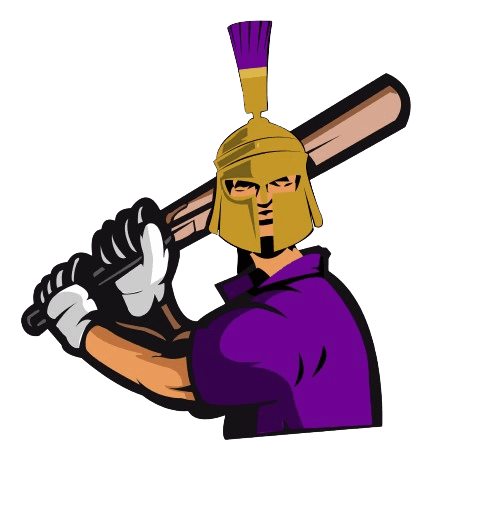 TN Maharaja team logo