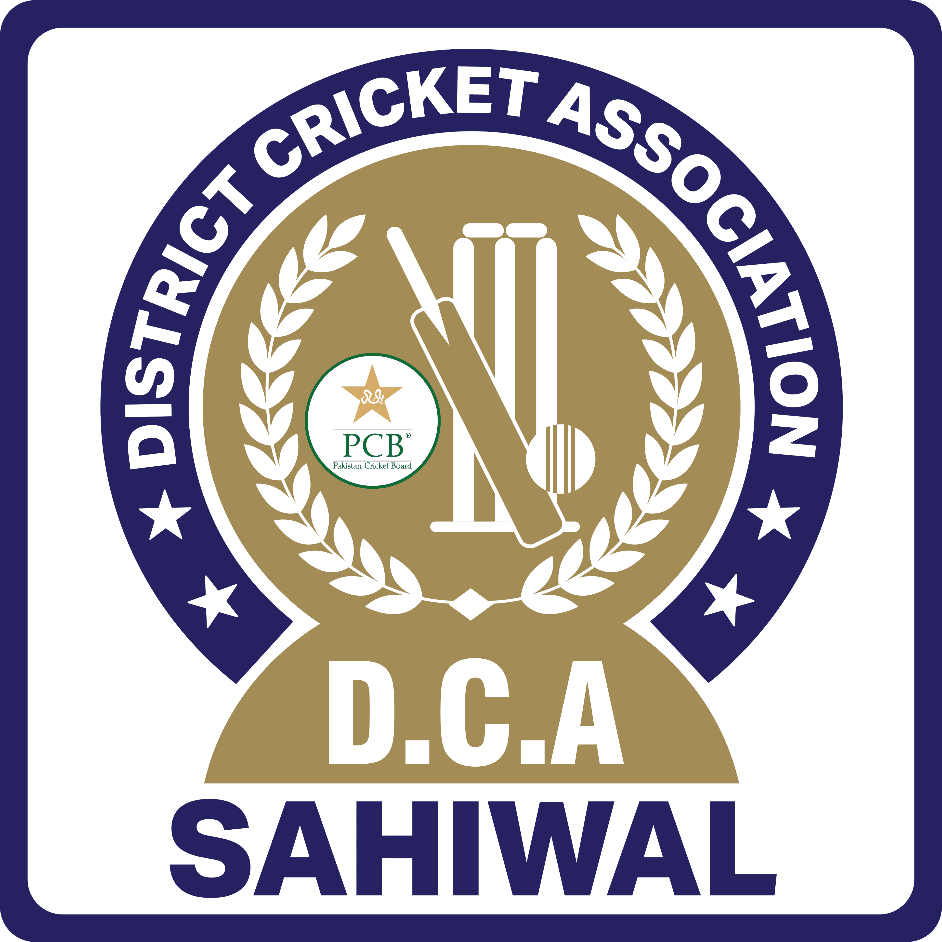 Sahiwal team logo