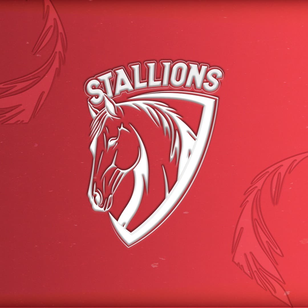 STALLIONS team logo