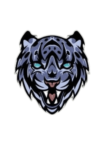 Osama Shahab team logo