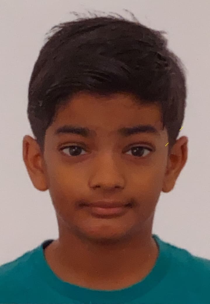 MUHAMMAD HAMDAN SARWAR CHEEMA