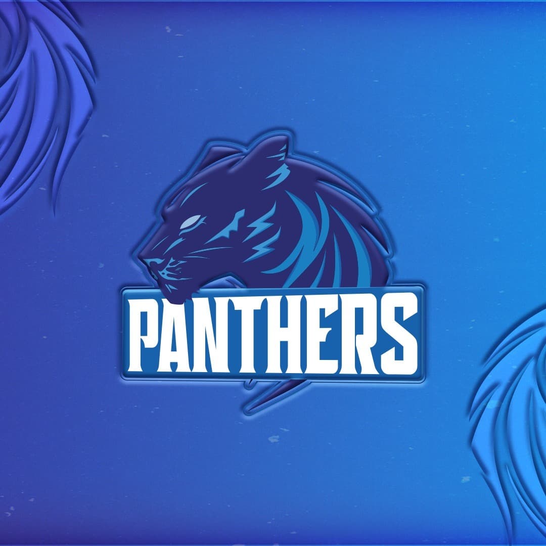 PANTHERS team logo