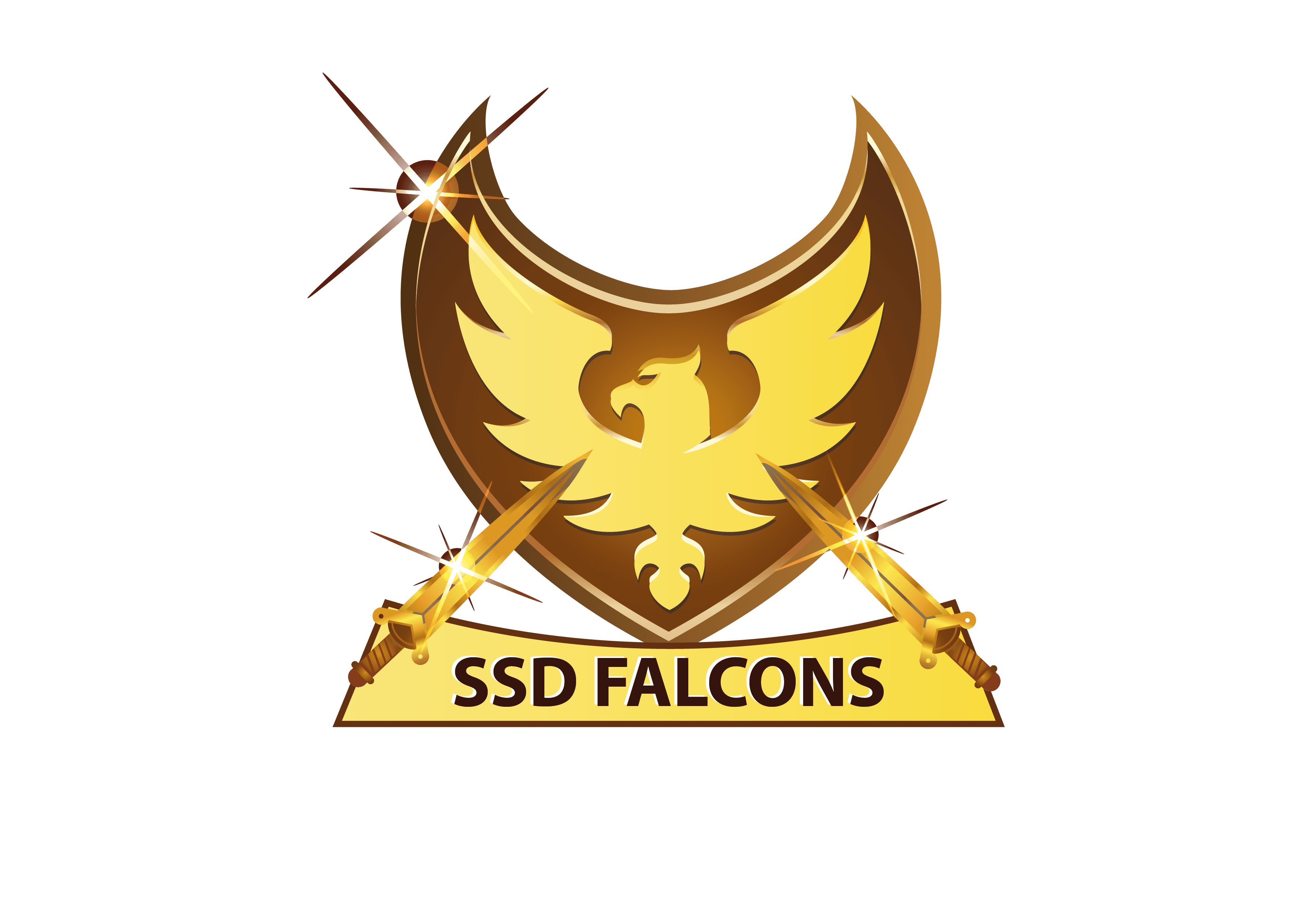 SSD Falcons team logo