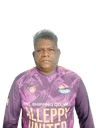 Vijayan Modiyil
