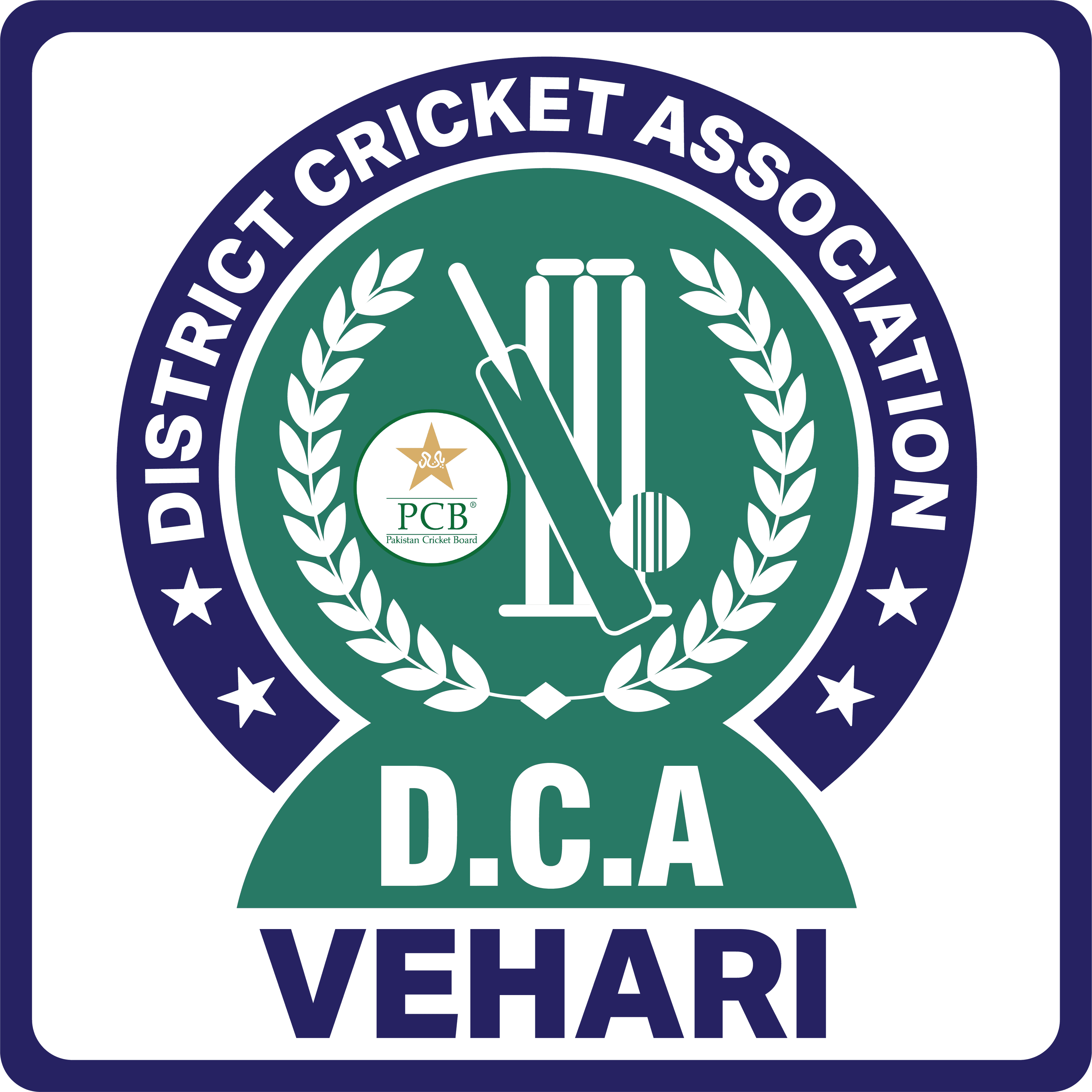 Vehari team logo