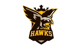 Tech Hawks