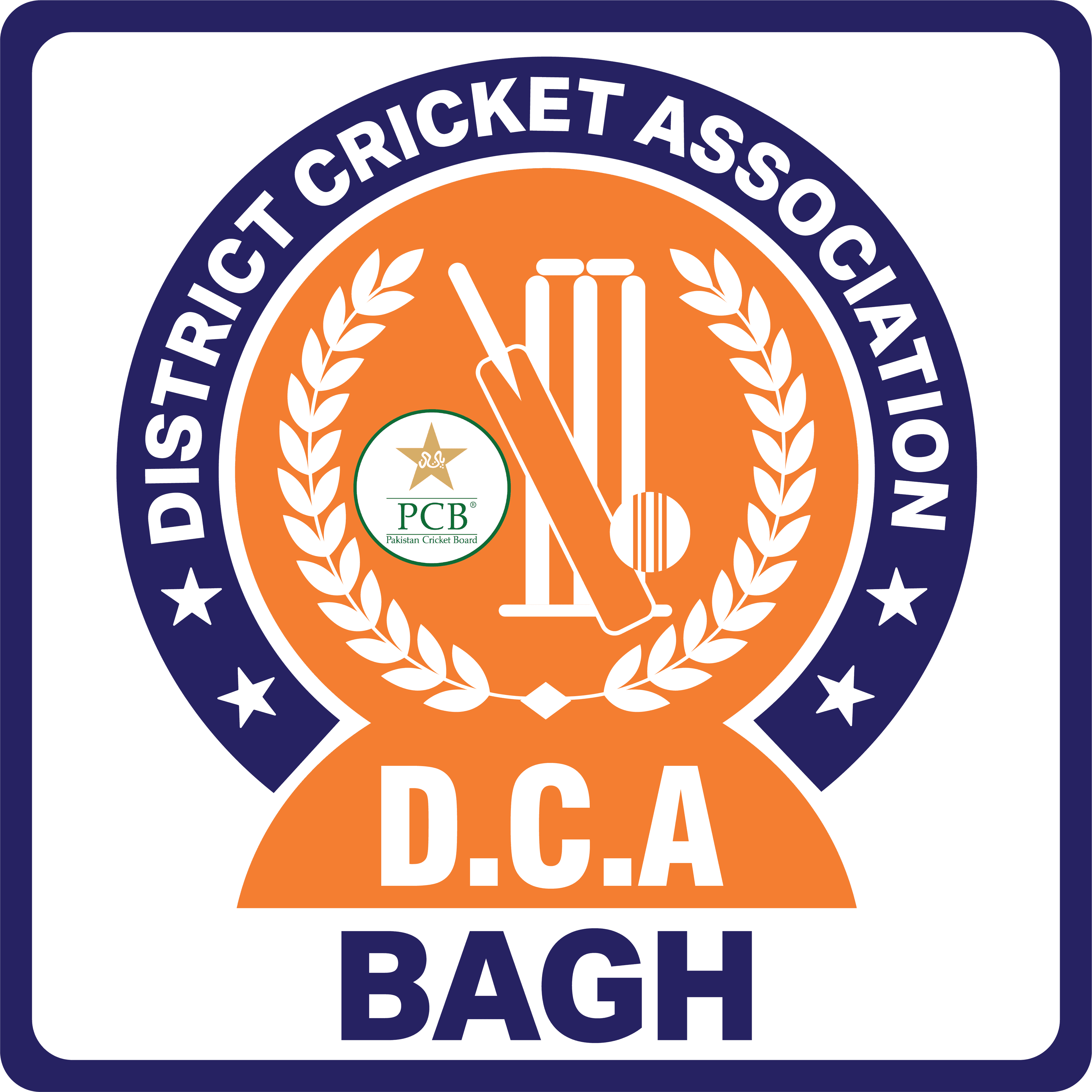 Bagh team logo