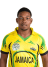 Gavin Briwn