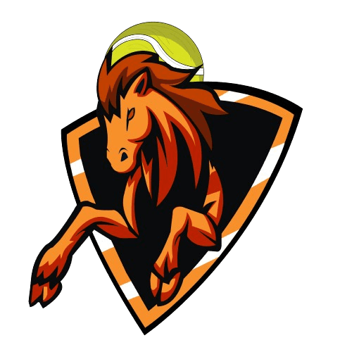 Sundas Naseer team logo