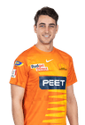 Peter Hatzoglou