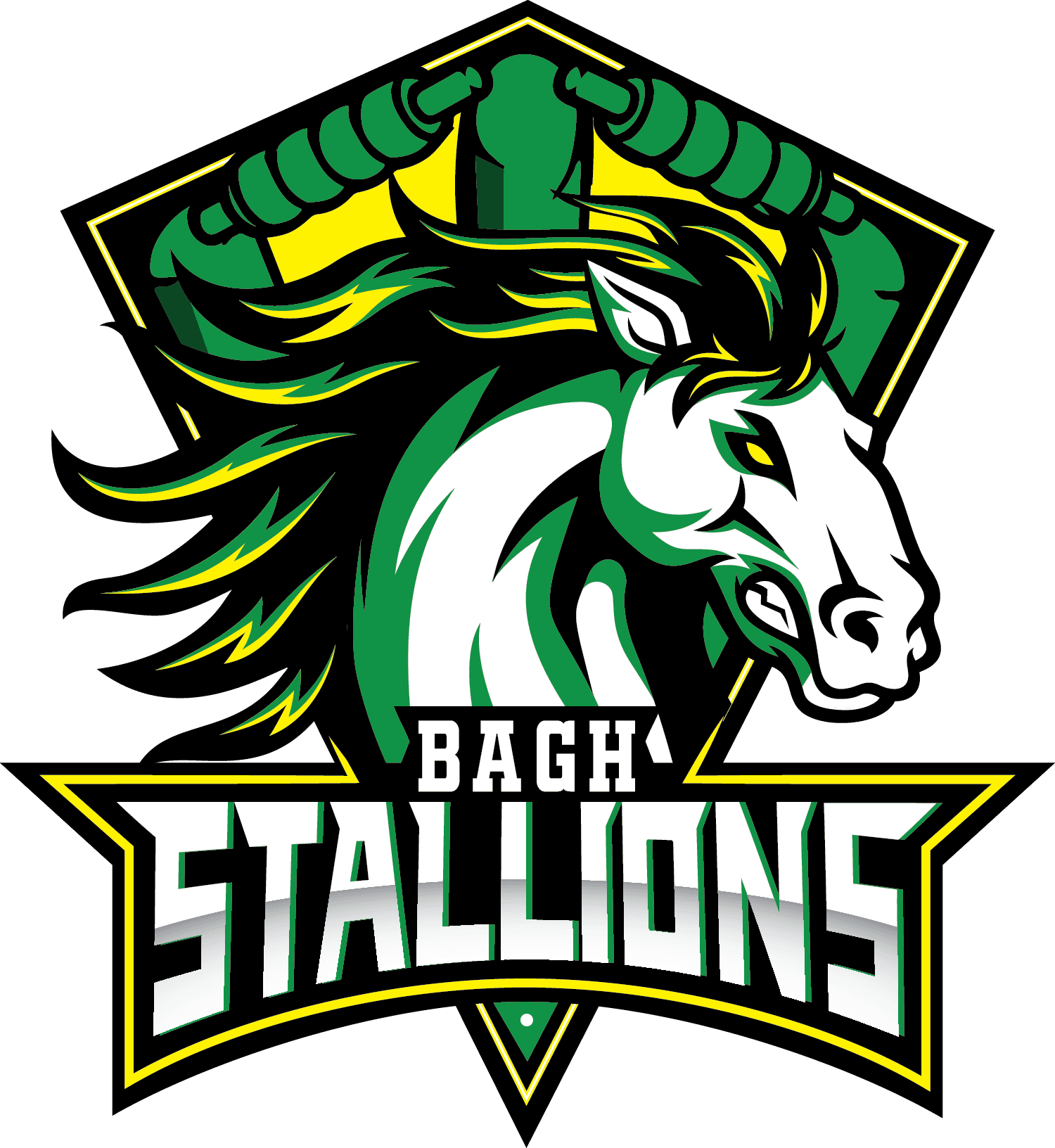 Bagh Stallions team logo