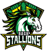 Bagh Stallions