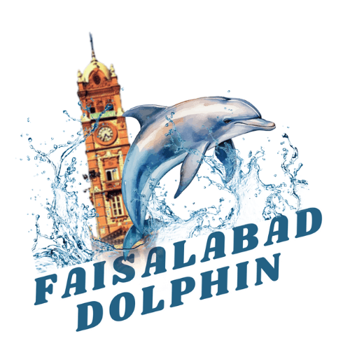 Dolphins team logo