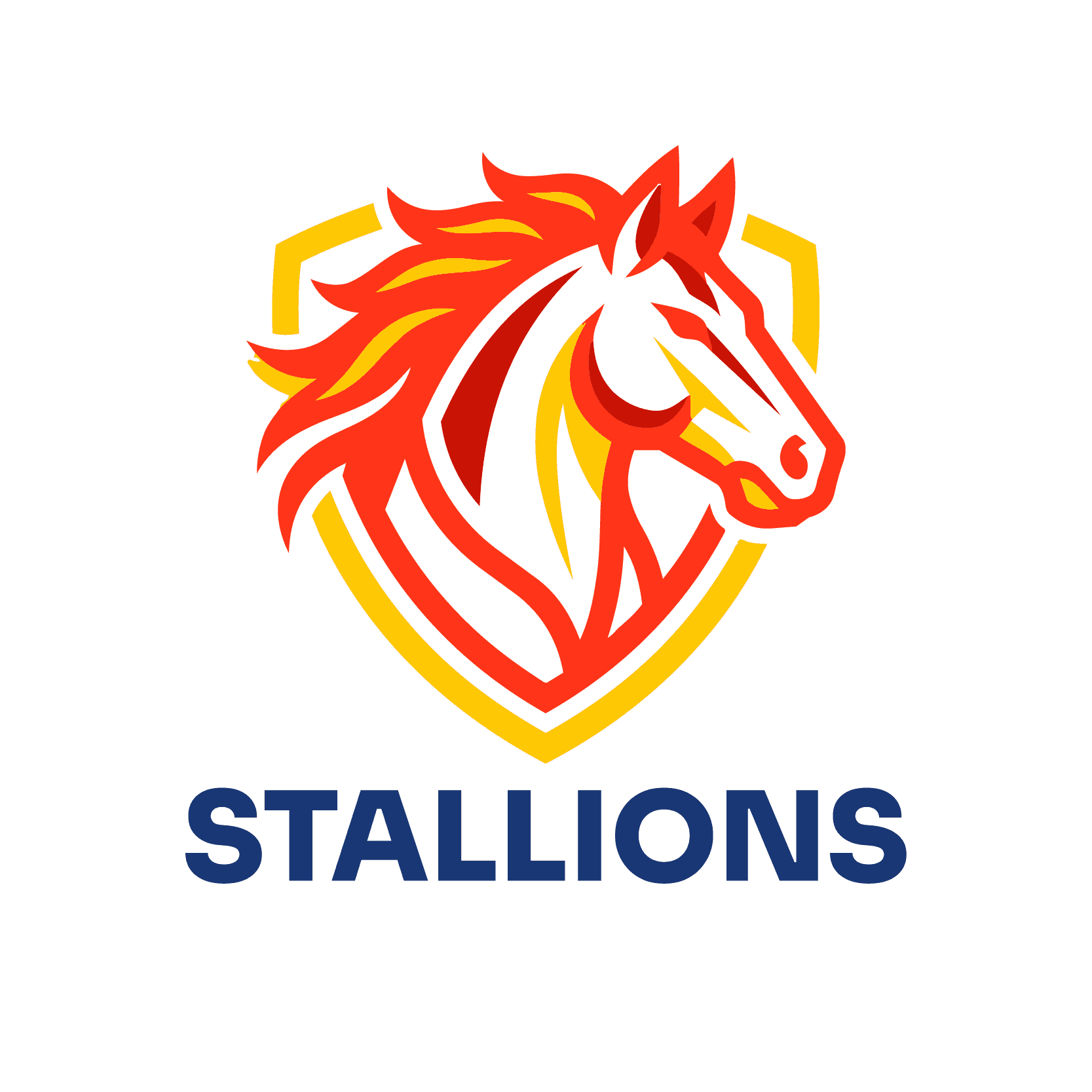 Yahya Jahanzaib team logo