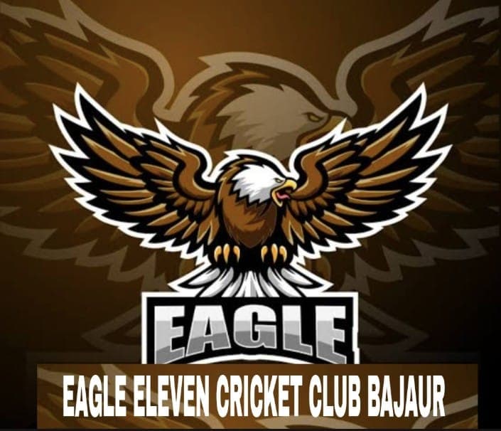 Eagle Eleven Cricket Club team logo