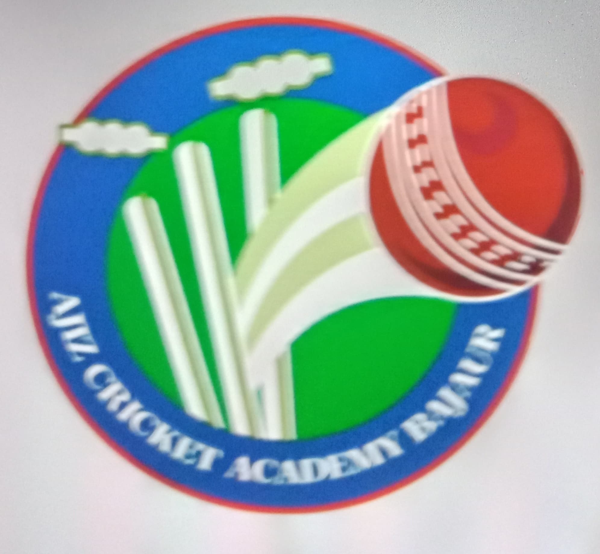 Ajiz Cricket Academy team logo