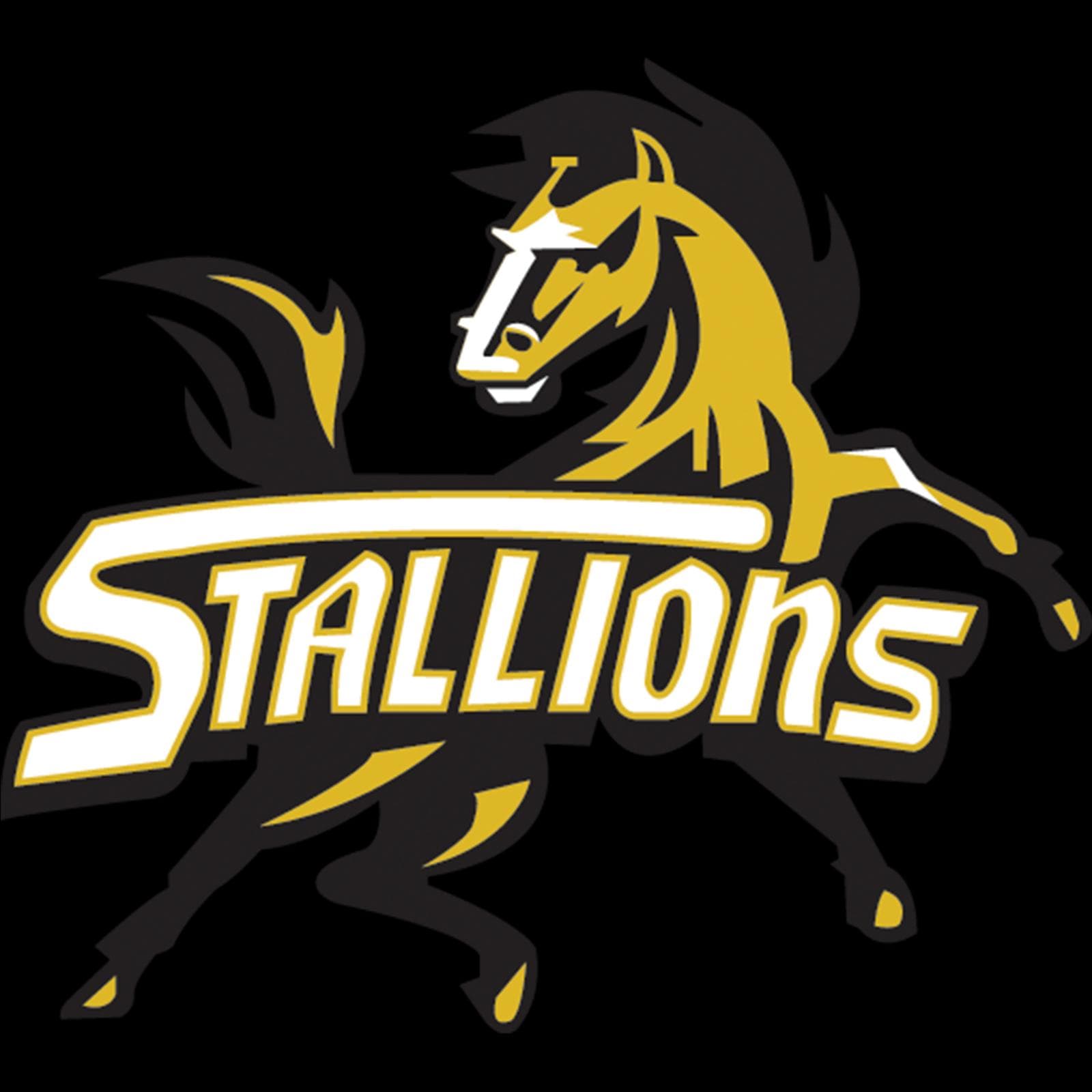 STALLIONS CC