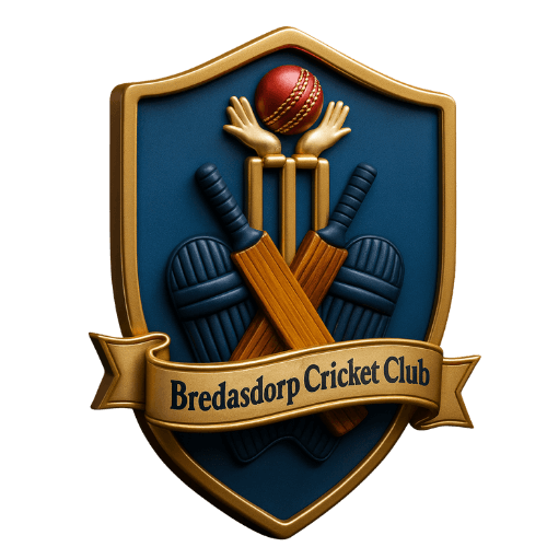 BREDASDORP CC team logo