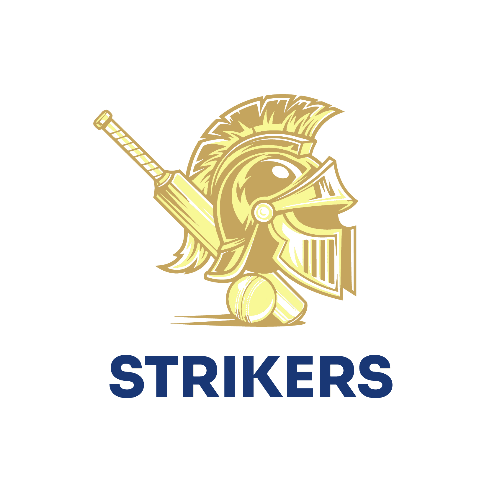 Sardar Aitizaz Ali team logo