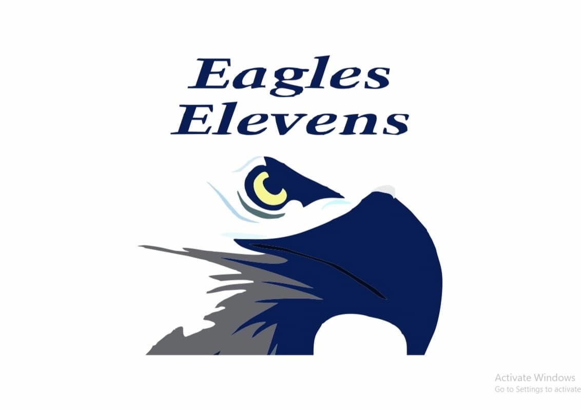 Eagle Elevens Cricket Club Burewala team logo