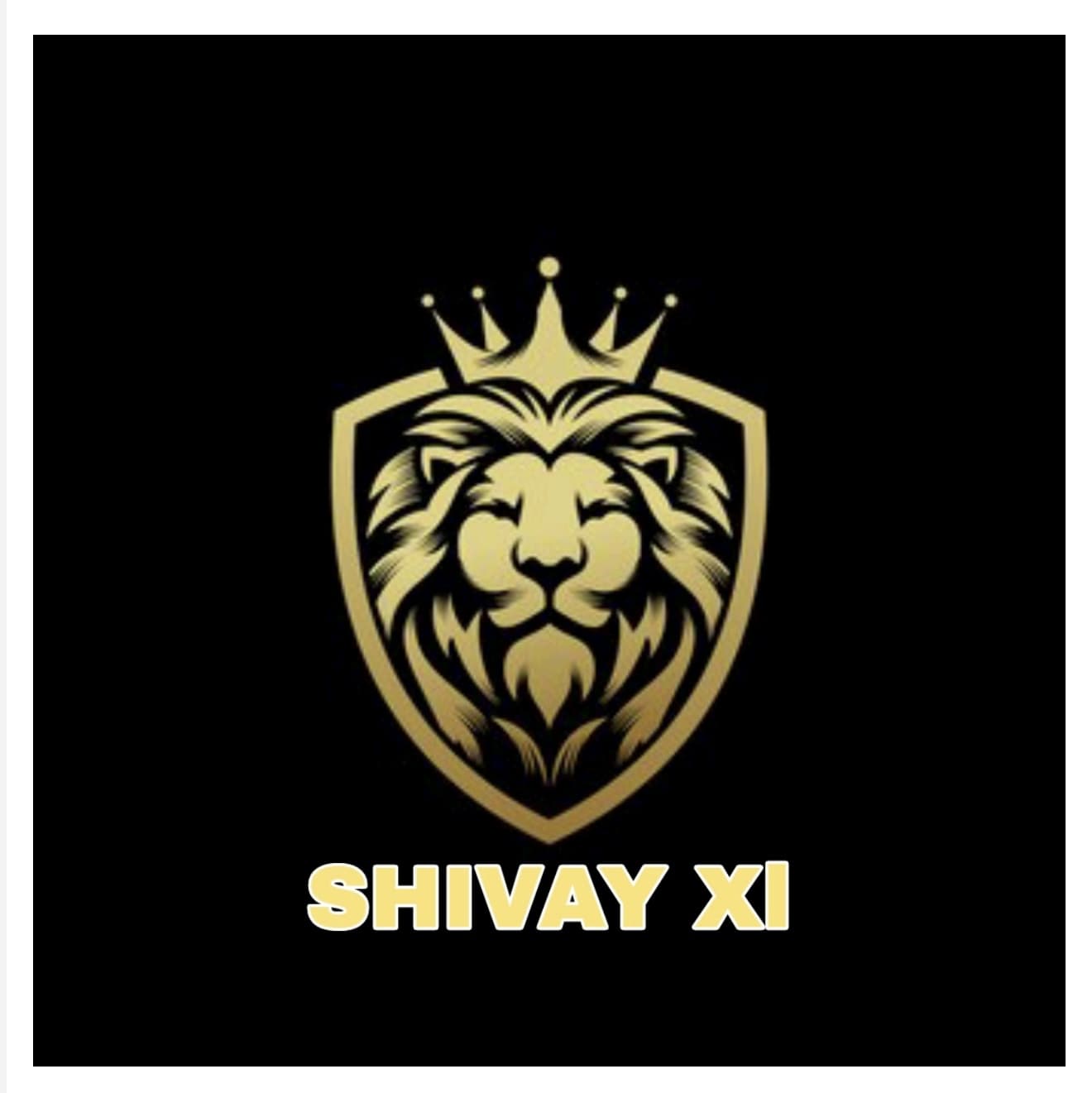 SHIVAY XI