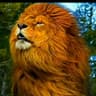 Nonari TIGER