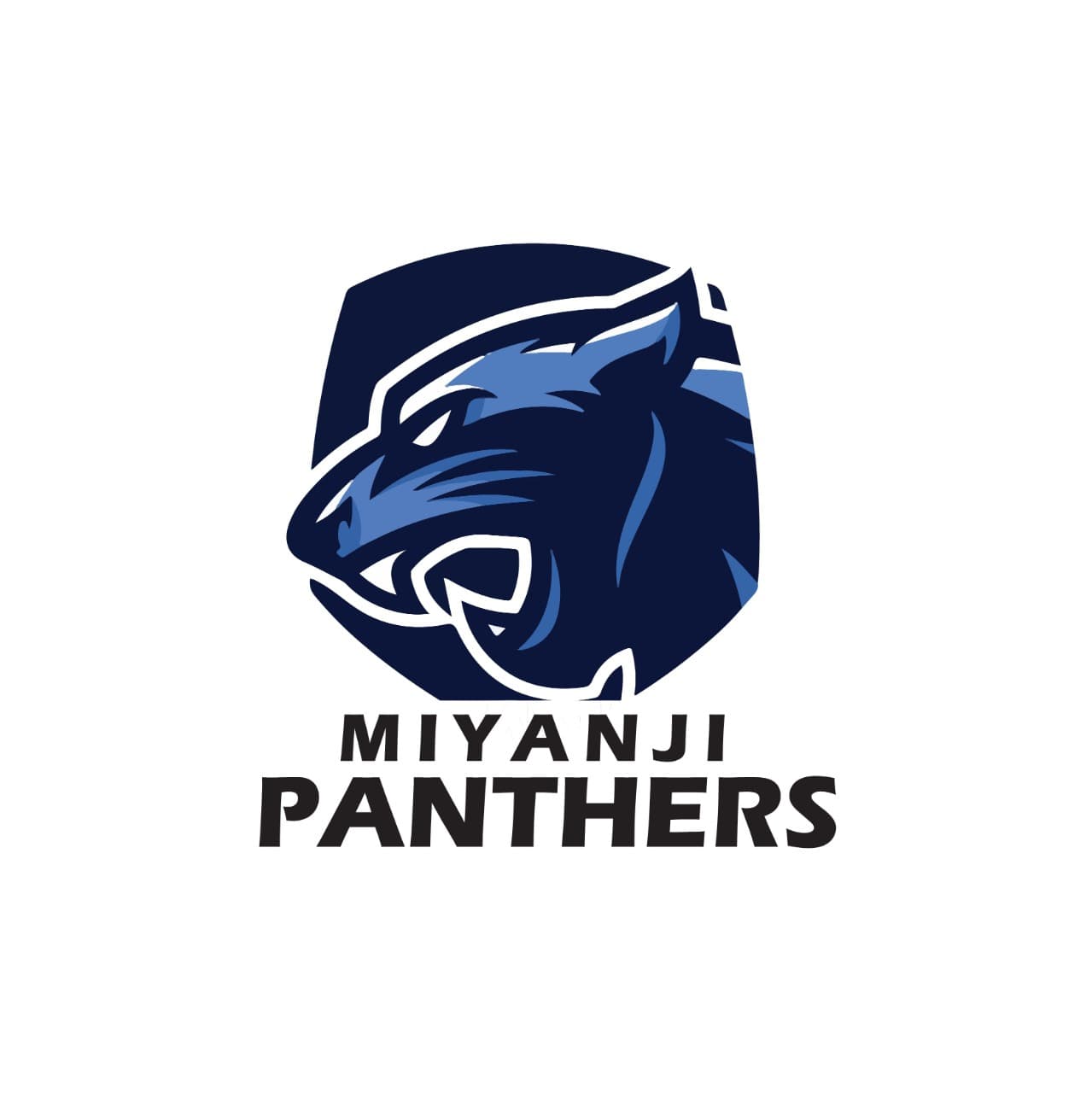 MIYANJI PANTHERS team logo
