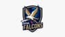 Faysal Falcons