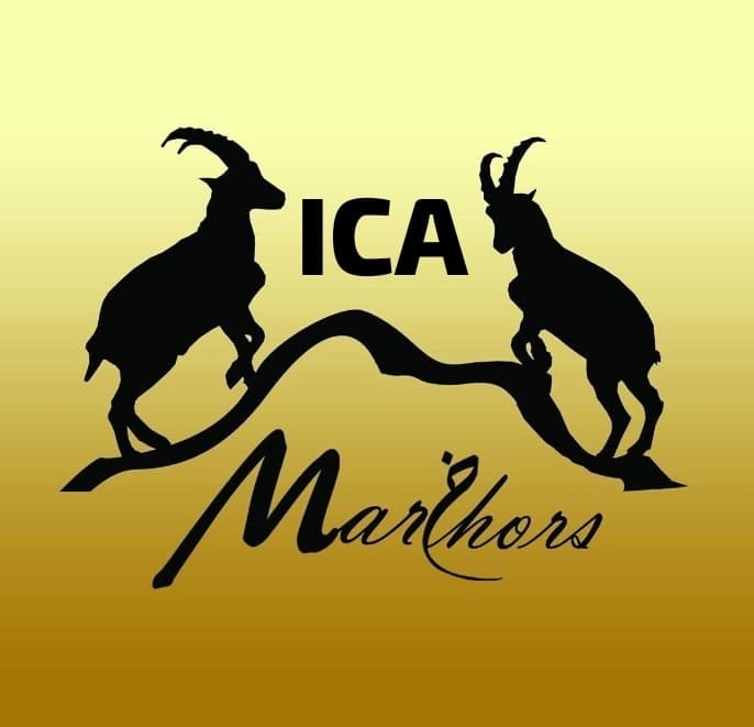 ICA MARKHORS team logo