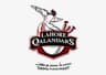 TDM QALANDARS