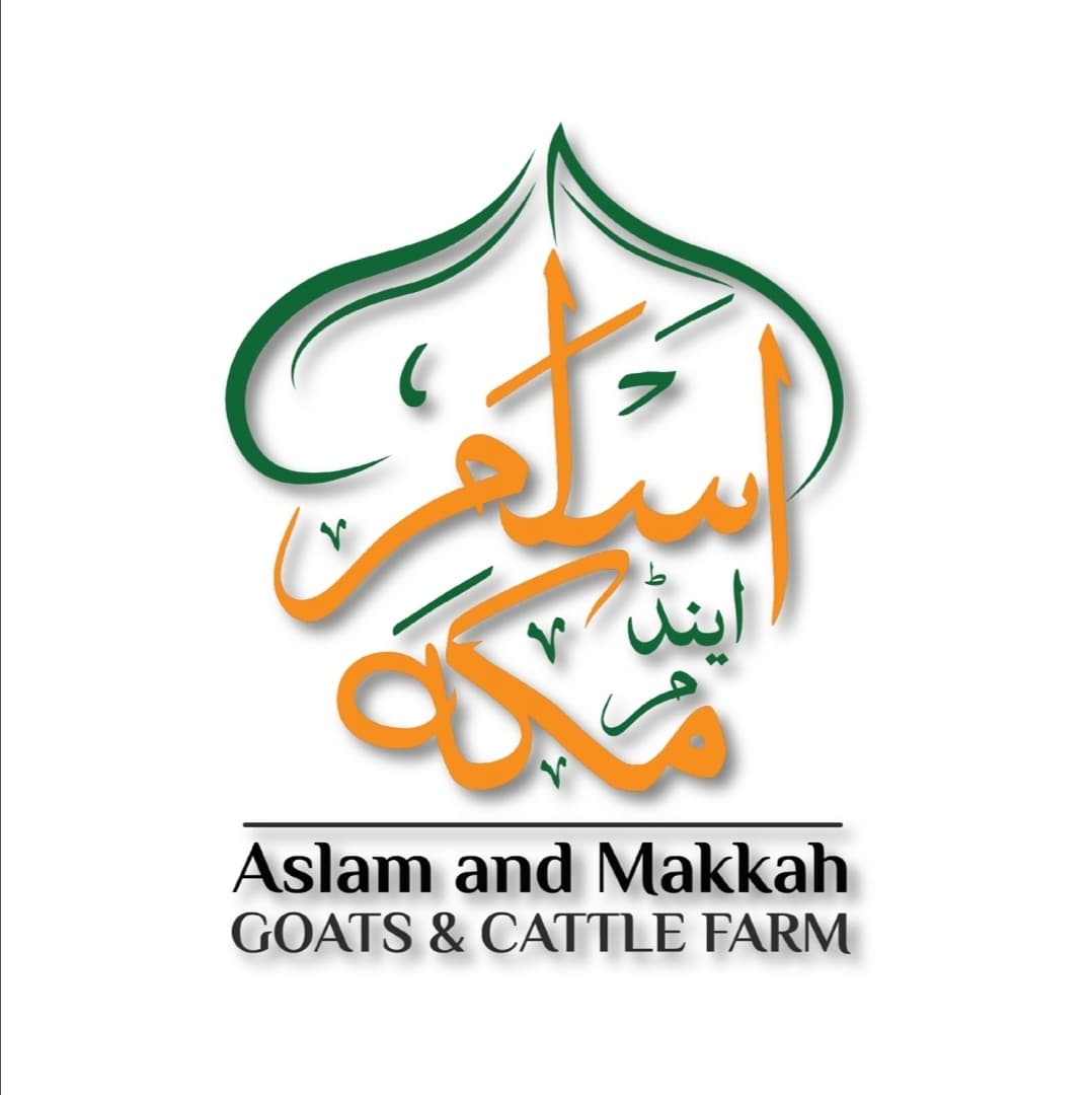 Sohail Khan team logo