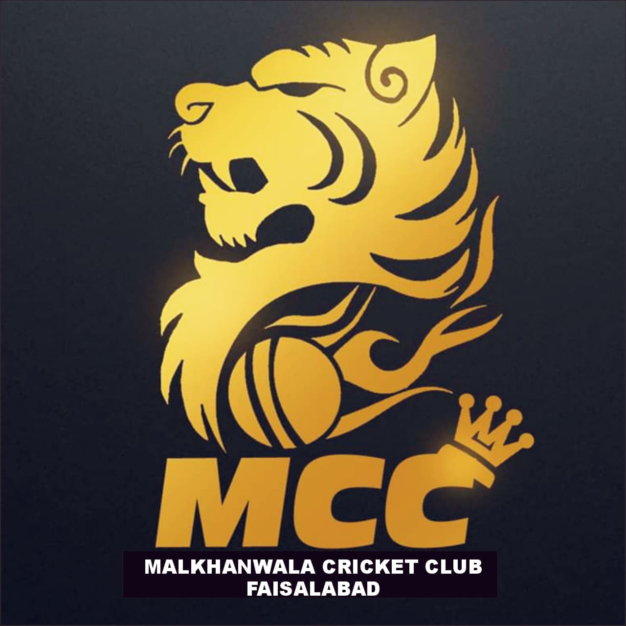 Malkhanwala Cricket Club FSD